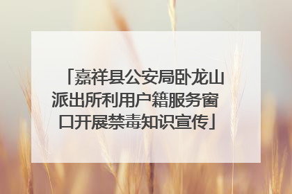 嘉祥县公安局卧龙山派出所利用户籍服务窗口开展禁毒知识宣传
