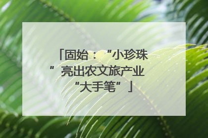 固始：“小珍珠”亮出农文旅产业“大手笔”