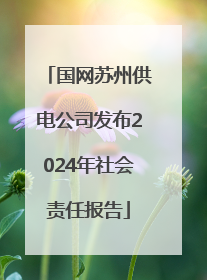 国网苏州供电公司发布2024年社会责任报告