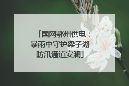 国网鄂州供电：暴雨中守护梁子湖防汛通道安澜
