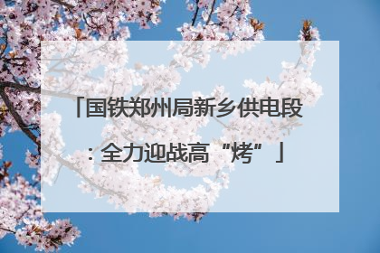 国铁郑州局新乡供电段：全力迎战高“烤”