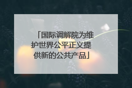 国际调解院为维护世界公平正义提供新的公共产品