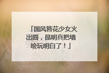 国风簪花少女火出圈，昆明真把墙绘玩明白了！