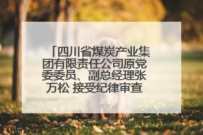 四川省煤炭产业集团有限责任公司原党委委员、副总经理张万松 接受纪律审查和监察调查