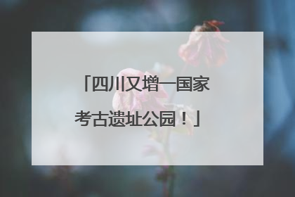 四川又增一国家考古遗址公园！