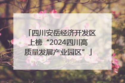 四川安岳经济开发区上榜“2024四川高质量发展产业园区”