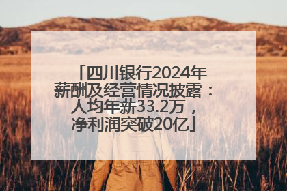 四川银行2024年薪酬及经营情况披露：人均年薪33.2万，净利润突破20亿