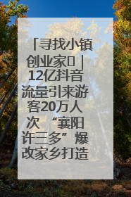 寻找小镇创业家㊱｜12亿抖音流量引来游客20万人次 “襄阳许三多”爆改家乡打造网红村