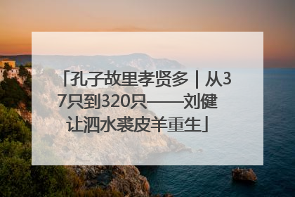 孔子故里孝贤多｜从37只到320只——刘健让泗水裘皮羊重生