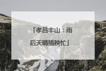 孝昌丰山：雨后天晴插秧忙