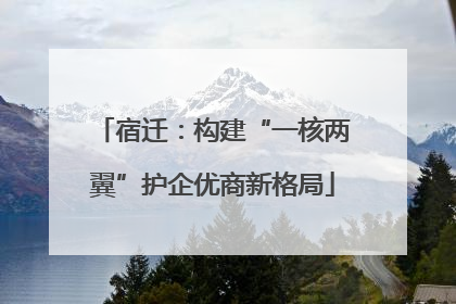宿迁：构建“一核两翼”护企优商新格局