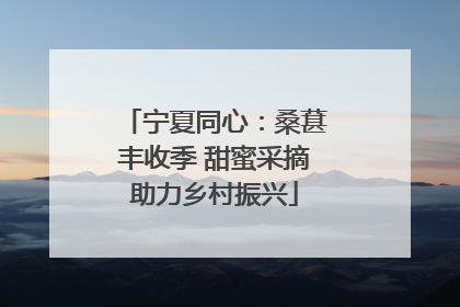 宁夏同心：桑葚丰收季 甜蜜采摘助力乡村振兴