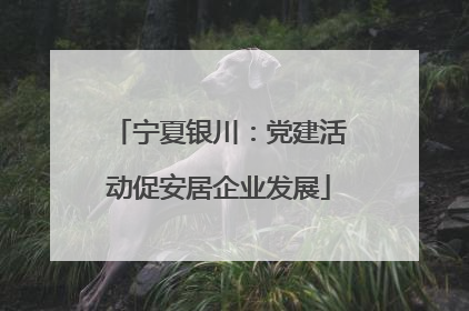 宁夏银川：党建活动促安居企业发展