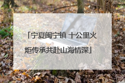 宁夏闽宁镇 十公里火炬传承共赴山海情深
