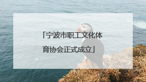 宁波市职工文化体育协会正式成立