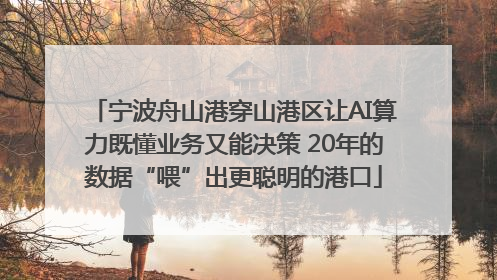 宁波舟山港穿山港区让AI算力既懂业务又能决策 20年的数据“喂”出更聪明的港口