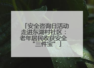 安全咨询日活动走进东湖村社区：老年居民收获安全“三件宝”