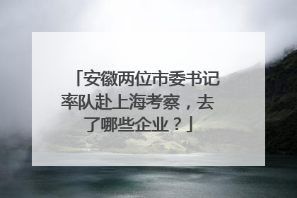 安徽两位市委书记率队赴上海考察，去了哪些企业？