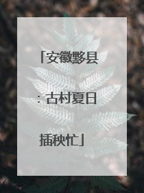 安徽黟县：古村夏日插秧忙