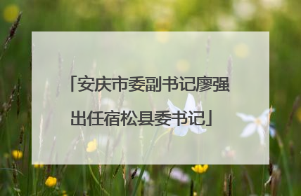 安庆市委副书记廖强出任宿松县委书记
