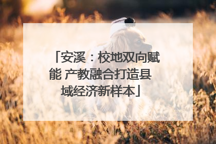 安溪：校地双向赋能 产教融合打造县域经济新样本