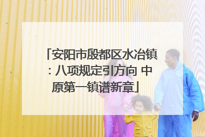 安阳市殷都区水冶镇：八项规定引方向 中原第一镇谱新章