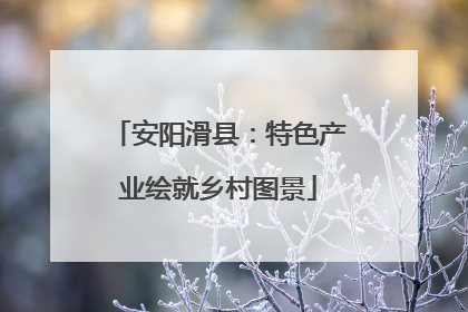 安阳滑县：特色产业绘就乡村图景