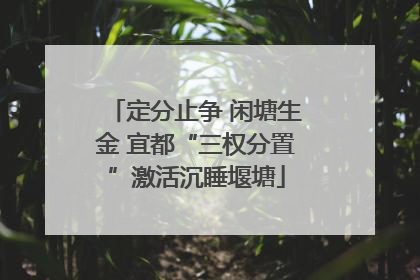 定分止争 闲塘生金 宜都“三权分置”激活沉睡堰塘