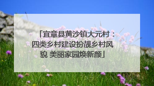 宜章县黄沙镇大元村：四类乡村建设扮靓乡村风貌 美丽家园焕新颜
