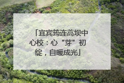 宜宾筠连蒿坝中心校：心“芽”初绽，自暖成光
