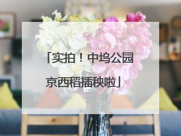 实拍！中坞公园京西稻插秧啦