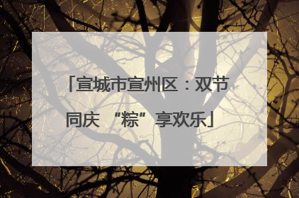 宣城市宣州区：双节同庆 “粽”享欢乐