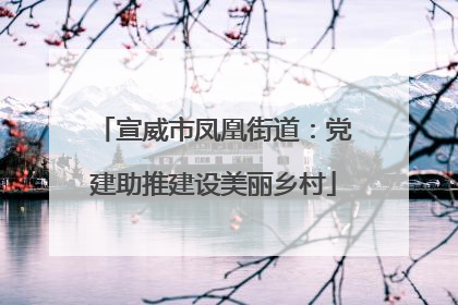 宣威市凤凰街道：党建助推建设美丽乡村