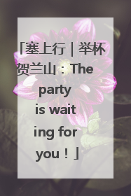 塞上行｜举杯贺兰山：The party is waiting for you！