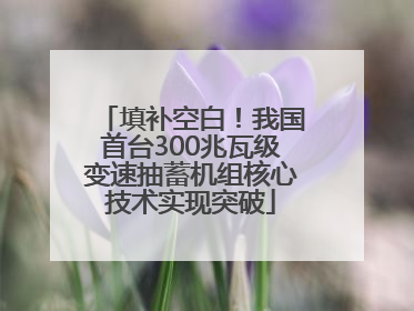 填补空白！我国首台300兆瓦级变速抽蓄机组核心技术实现突破