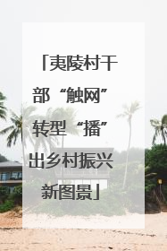 夷陵村干部“触网”转型“播”出乡村振兴新图景