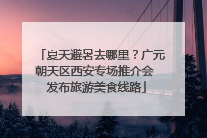 夏天避暑去哪里？广元朝天区西安专场推介会 发布旅游美食线路