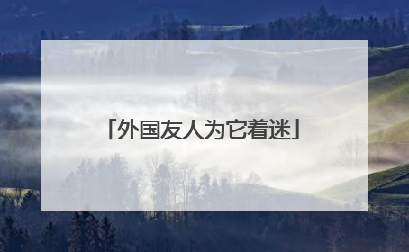 外国友人为它着迷