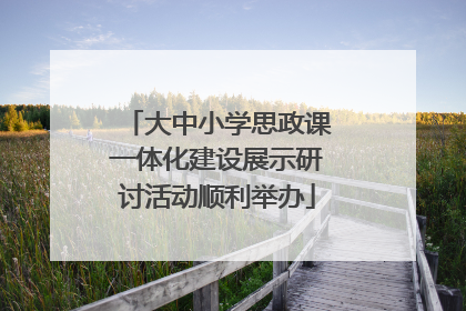 大中小学思政课一体化建设展示研讨活动顺利举办