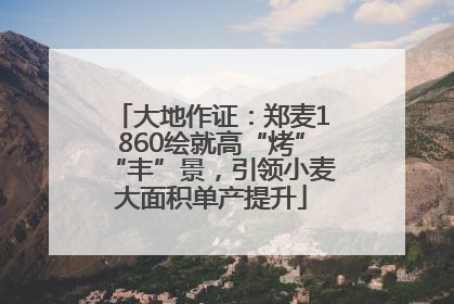 大地作证：郑麦1860绘就高“烤”“丰”景，引领小麦大面积单产提升