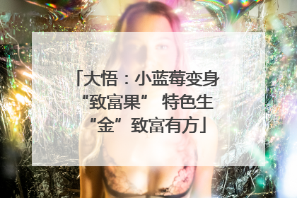 大悟：小蓝莓变身“致富果” 特色生“金”致富有方