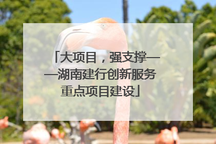 大项目，强支撑——湖南建行创新服务重点项目建设