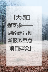 大项目 强支撑——湖南建行创新服务重点项目建设
