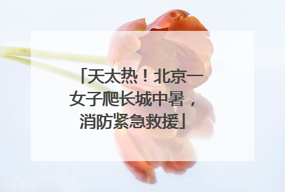 天太热！北京一女子爬长城中暑，消防紧急救援