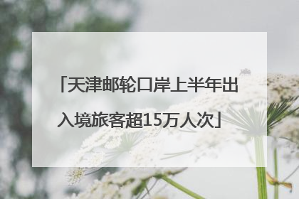 天津邮轮口岸上半年出入境旅客超15万人次