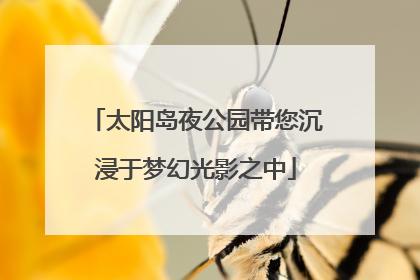太阳岛夜公园带您沉浸于梦幻光影之中