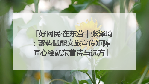 好网民·在东营｜张泽琦：聚势赋能文旅宣传矩阵 匠心绘就东营诗与远方