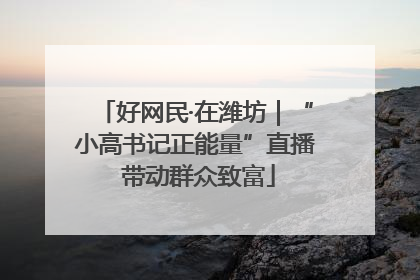 好网民·在潍坊｜“小高书记正能量”直播 带动群众致富