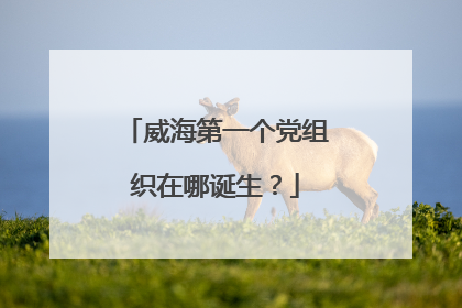 威海第一个党组织在哪诞生？
