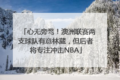 心无旁骛！澳洲联赛两支球队有意林葳，但后者将专注冲击NBA